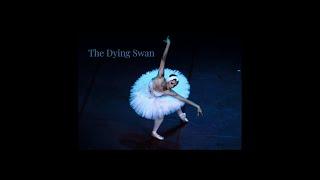 Надежда Грачёва / "Умирающий лебедь" / Nadezhda Gracheva / "The Dying Swan"