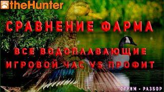  theHunter Classic  Стрим-разбор  Сравниваем фарм на всех водоплавающих 