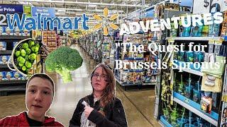 Walmart adventures 1: the quest for Brussel sprouts