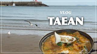 West Coast of South Korea, Taean｜Travel Vlog