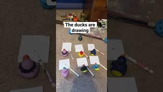 The ducks first time drawling #funnymemes #ducker #duck #ducky #memefunny #rubberduck ￼