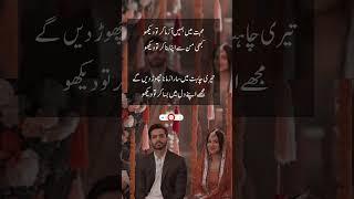 LOVE POETRY ️ #urdupoetry #shayari #love #poetry #shorts