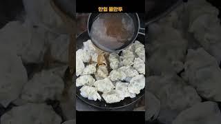 한입 물만두하군 / 물만두 / 캠핑한끼 #물만두 #만두요리 #만두