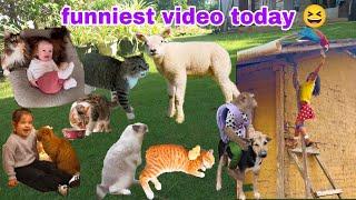 Funniest Cat and Human Fails!  Best Funny Cat Videos Compilation 2024