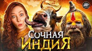 Безумная Индия, о которой вам не расскажут. История с Artifex