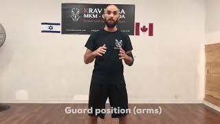 Krav Maga Guard Position (arms)