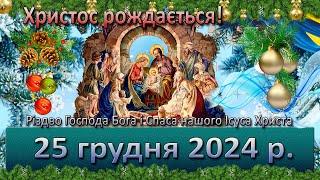 Служба Божа 25 грудня  2024 р.