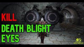 How to Kill Death Blight Eyes - Scorpion River Catacombs - Elden Ring DLC