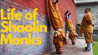 An exemplary Shaolin warrior monk少林功夫人物#yanhao #shaolinkungfuyanhao