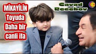 Cavad Recebov || Mikayilin Toyunda Daha Bir Canli Ifa || 2025 -