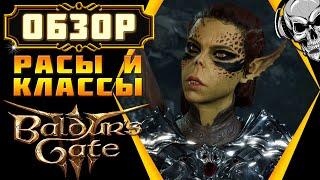 Обзор рас и классов в Baldur's Gate 3  Создание персонажа в раннем доступе