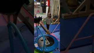 little gymnast