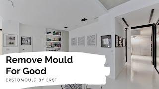 Remove Mould For Good