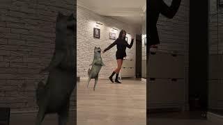 Видео уроки танцев | dance tutorial