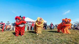 Elk Grove Celebrates Lunar New Year Celebration With Lion Dances - Elk Grove Tribune