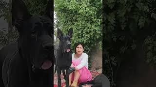 This dog is creating the new generation 750