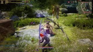 Black Desert Dark Knight combat