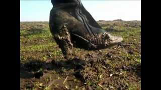 Boots in mud and water