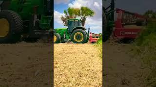 Amazing tree cutting || @HOLLYWOODJUSTNEW @Hollywoodjustnewgaming