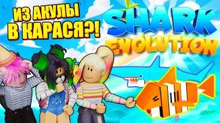 УЛЬЯНА - НАША МАМА! Roblox Shark Evolution