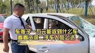 车贩子一万元能收到什么车，看看资深二手车人怎么选