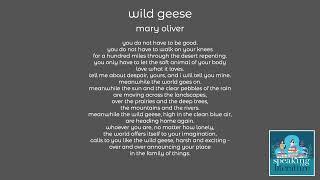 mary oliver - wild geese