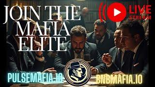 "The Commission" discuss progress and strategies $MAFIA PulseMafia.io & BNBMafia.io