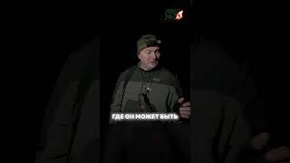 Охота на волков в Беларуси с RikaNV! Матёрый хищник добыт в угодьях! #тепловизор #hunting #волк
