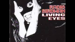 radio birdman - more fun