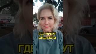 Про сущностей #сущности #подселенцы #экзорцизм #бесы #демоны #черти #изгнаниебесов