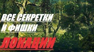 КАКИЕ СЕКРЕТЫ ХРАНИТ В СЕБЕ "ЛЕС ПАВШИХ ГИГАНТОВ"? DARK SOULS 2