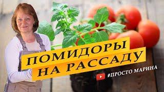 Посев семян томатов на рассаду.