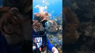 female scuba diver hair floating underwater