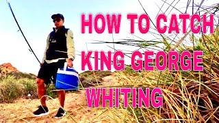 How to Catch King George Whiting