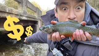 CREEK Fishing for Rainbow & Brook TROUT with Spinners Jigs Spoons