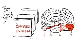 Введение в курс "Практика визуального мышления"