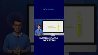 Как ощутить радость и краски жизни? Смех и не только.