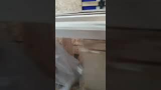 деловые линии