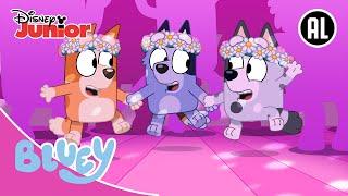  Speciaal Avontuur! | Bluey | Disney Junior BE