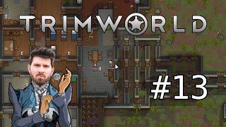 (T)RimWorld #13 mit Matteo