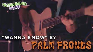 "wanna know" by palm fronds - live at gothard studios