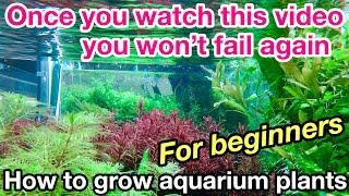 How to grow aquarium plants for beginners〜ADA nature aquarium set up,How to plant aquatic plants