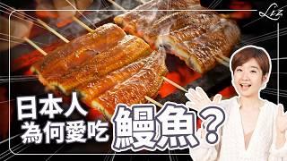 台灣鰻魚比日本鰻魚好吃？曾經外銷日本第一，為何會被中國超車？了解台日飲食文化！【Liz 美食家】