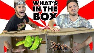 COSA C'È NELLA SCATOLA? - What's In The Box Challenge | Matt & Bise