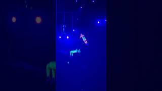 Real show  #circus #flyingtrapeze #цирк #трюки #aerial #acrobatics #show