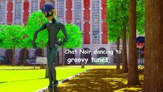 Chat Noir Dancing to groovy tunes