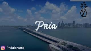 Pnia Miami 4k Video