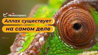 АЛЛАХ существует на самом деле!