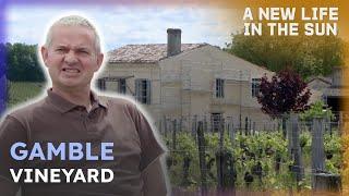 Leaving Real Estate for French Vineyard Dream | A New Life In The Sun
