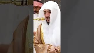 Ma Sha Allah Beautiful Recitation Sheikh Waleed Al Shamsaan Surah Nasr